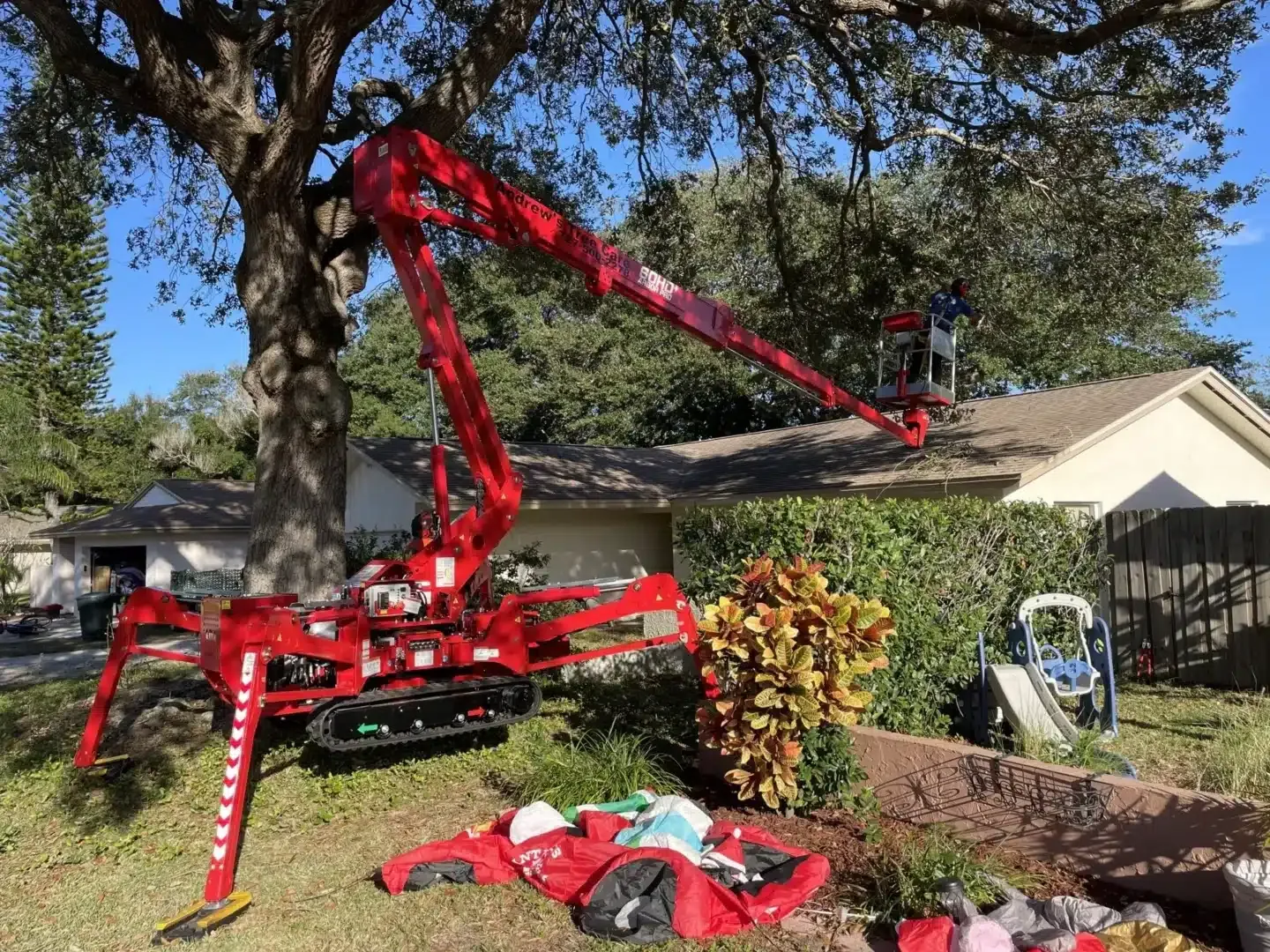 Andrew's Tree Care photo
