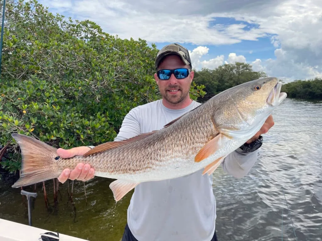 American Fishing Outfitters photo