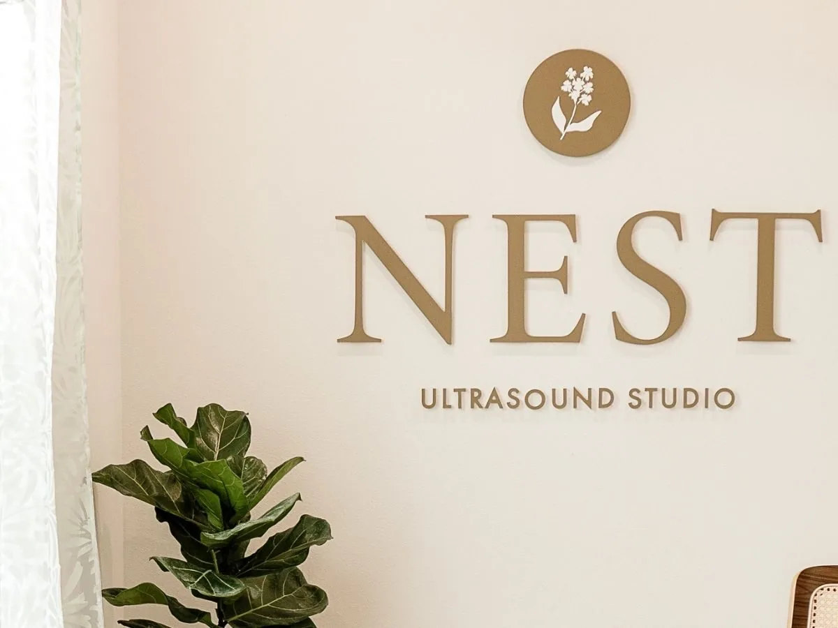 Nest Ultrasound Studio photo