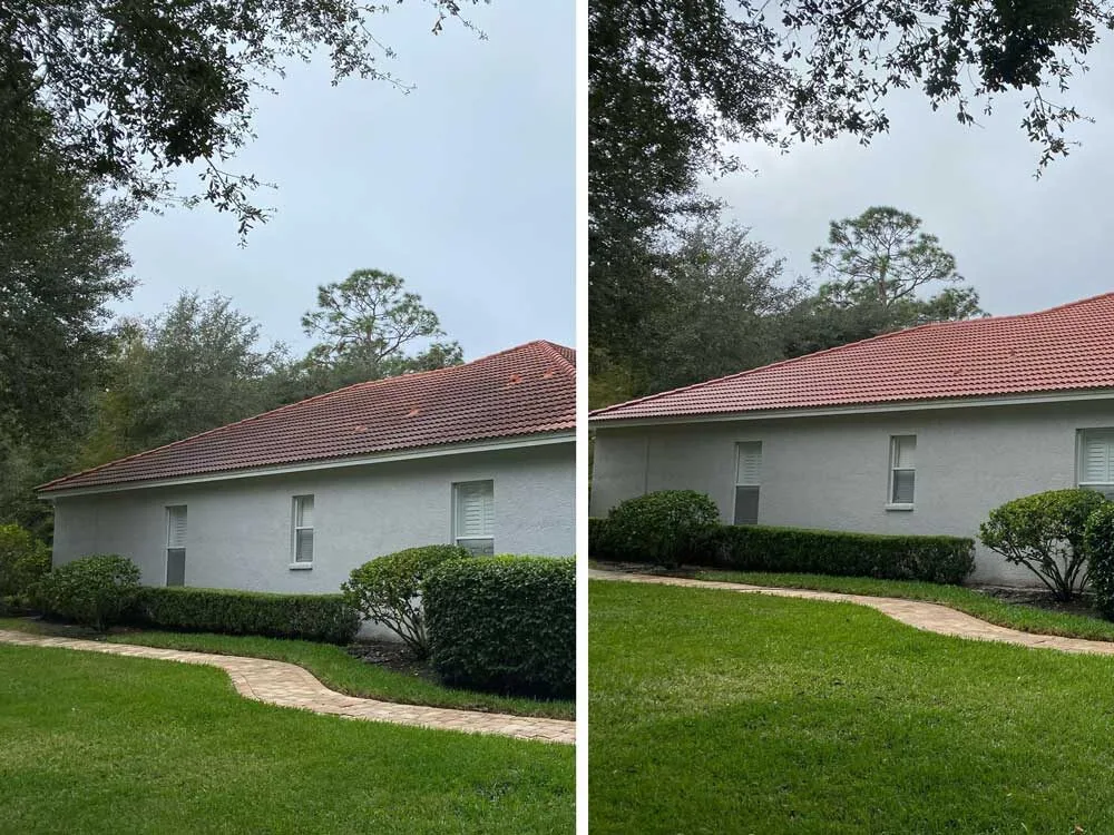 Tropical Wave Pressure Washing of Wesley Chapel FL