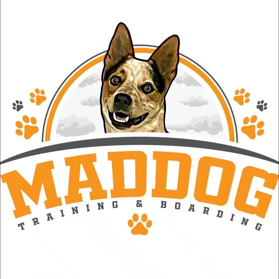 Maddog Training & Boarding